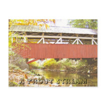 A Trout Stream Postcard