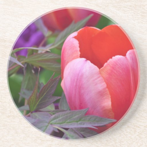 A Tulip And Other Leaves II Beverage Coasters