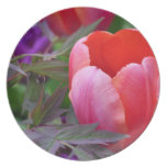 A Tulip And Other Leaves II Plate