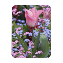 A tulip at Luxembourg Gardens, Paris, France Rectangle Magnets