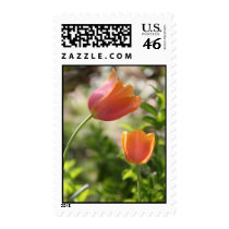 A Tulip Duo Stamp