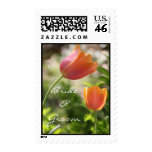 A Tulip Duo Stamp