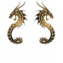 A Twin Dragon T-Shirt by YMAGINATION A Twin Dragon T-Shirt