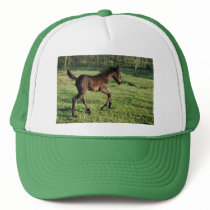 A two week old foals joy trucker hats