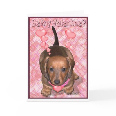A Valentine Doxie Puppy Card by relativeperceptions