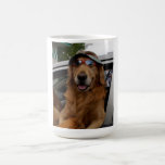 A very funny dog hanging out the car window! mugs