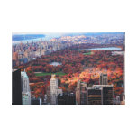 A view from above: Autumn in Central Park 01 Stretched Canvas Print