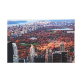 A view from above: Autumn in Central Park 01 Stretched Canvas Print
