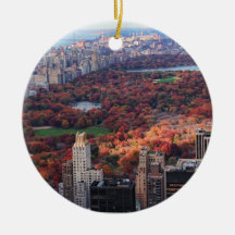 A view from above: Autumn in Central Park 01 Ornament