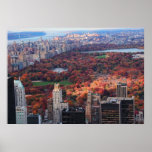 A view from above: Autumn in Central Park 01 Print