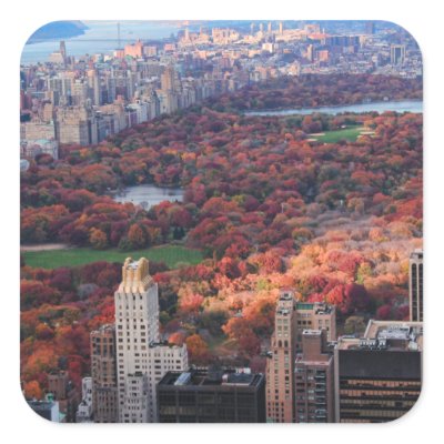 A view from above: Autumn in Central Park 01 Square Stickers