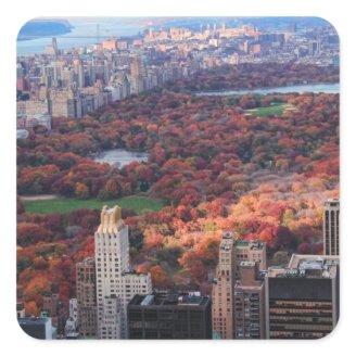 A view from above: Autumn in Central Park 01 Square Stickers
