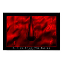 A View From The Inside posters
