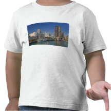 A view of Chicago's Navy Pier 2 T-shirts