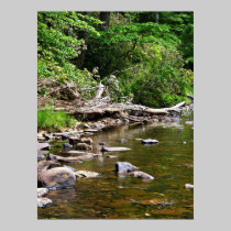 A View of the Greenbrier River posters