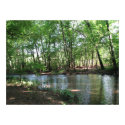A View of the River print