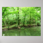 A View of the River posters