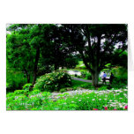 A Walk At Cox Arboretum - Dayton, Ohio Greeting Cards