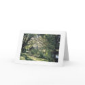 A walk by the pond cards