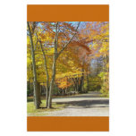 a walk in the park flyers