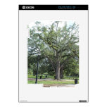A Walk in the Park Skins For The iPad 2
