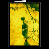 A Walk in The Sunshine cards