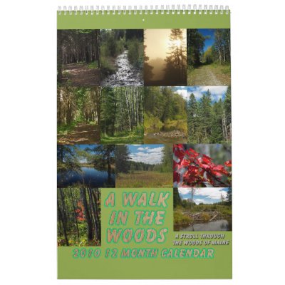 A Walk In The Woods Wall Calendar by FNolan