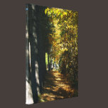 A Walk In The Woods canvas prints