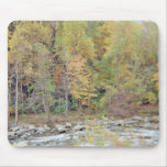 A Walk In The Woods mousepads