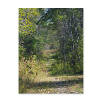 A Walk In The Woods postcards by FNolan A Walk In The Woods postcards