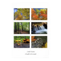 A walk in the woods, poster posters by DigitalApoptosis A walk in the woods, poster posters