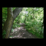 A walk in the woods posters