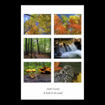 A walk in the woods, poster posters