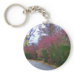 A Walk On A Beautiful Autumn Day Key Chains