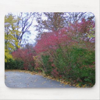 A Walk On A Beautiful Autumn Day mousepad