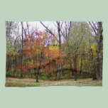 A Walk On A Trail kitchen towels