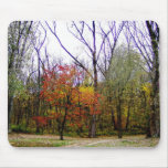 A Walk On A Trail mousepads
