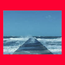 A Walk On The Wild Side posters