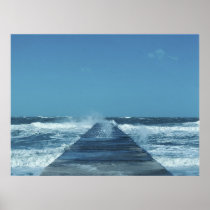 A Walk On The Wild Side posters
