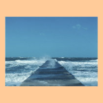 A Walk On The Wild Side posters