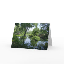 A Walk Through Chicago Greeting Cards