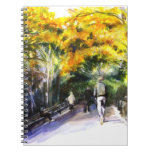 walk, stroll, central park, autumn, yellow, gold,