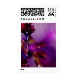A water drop in purple postage