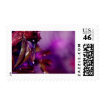 A water drop in purple stamps