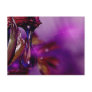 A water drop in purple post card