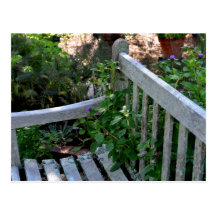 A Weathered Bench Post Card