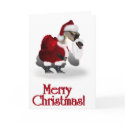 A Web Footed Christmas cards
