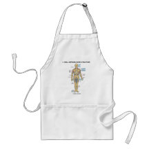 A Well-Defined Bone Structure (Human Skeleton) Aprons