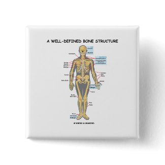 A Well-Defined Bone Structure (Human Skeleton) button