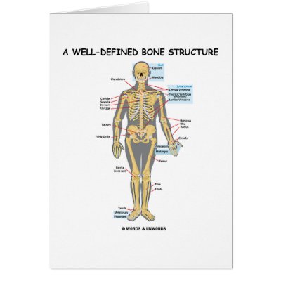 diagrams of human body. diagrams of human body. carpal bones of human Body